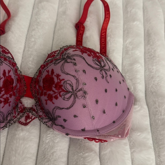 Red and Pink Embroidered Bra - Picture 2 of 5